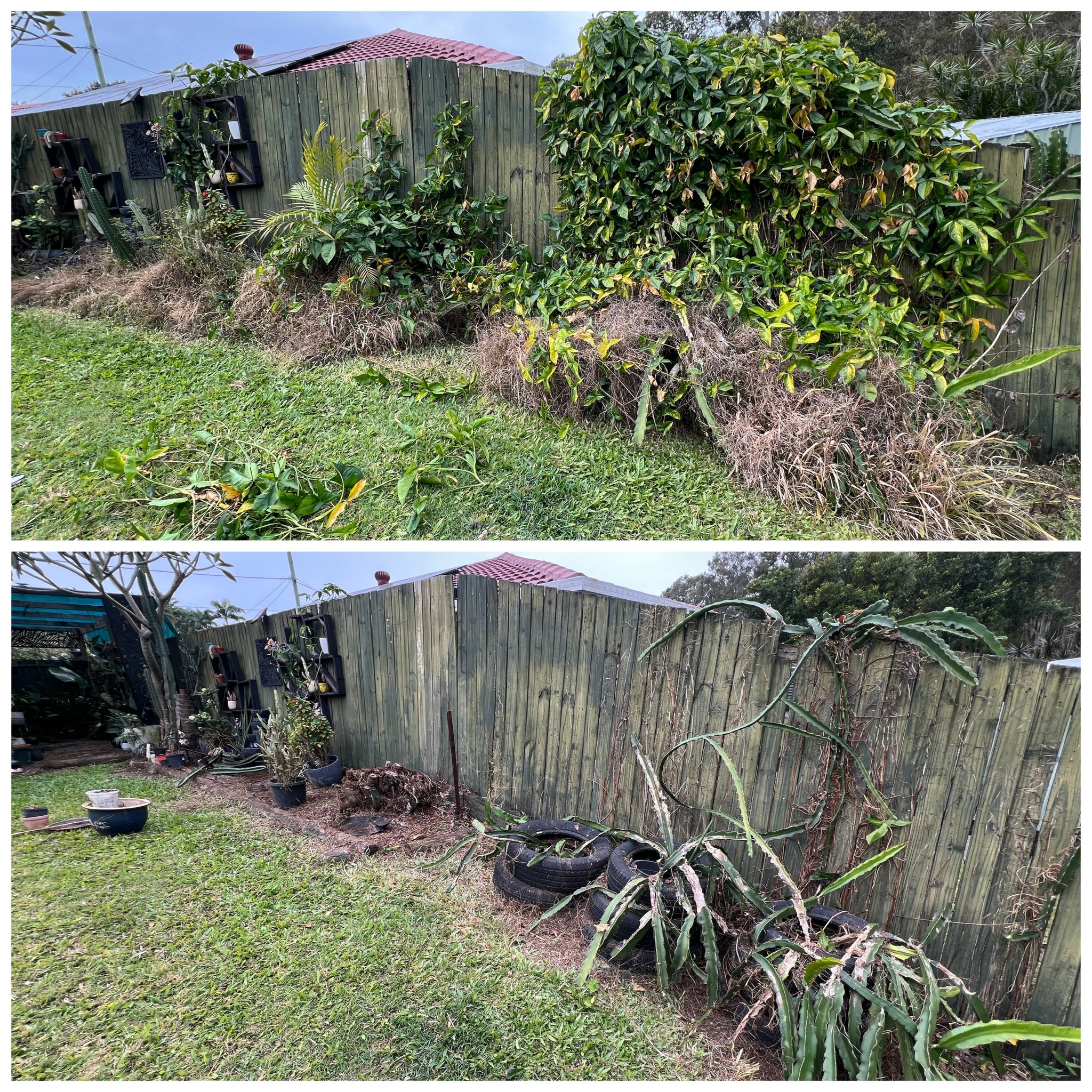 Before After Lawn